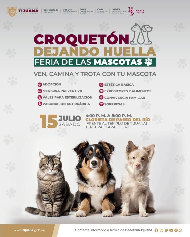 ORGANIZARÁ AYUNTAMIENTO CROQUETÓN PARA ANIMALES EN SITUACIÓN DE CALLE. lasnoticias.info