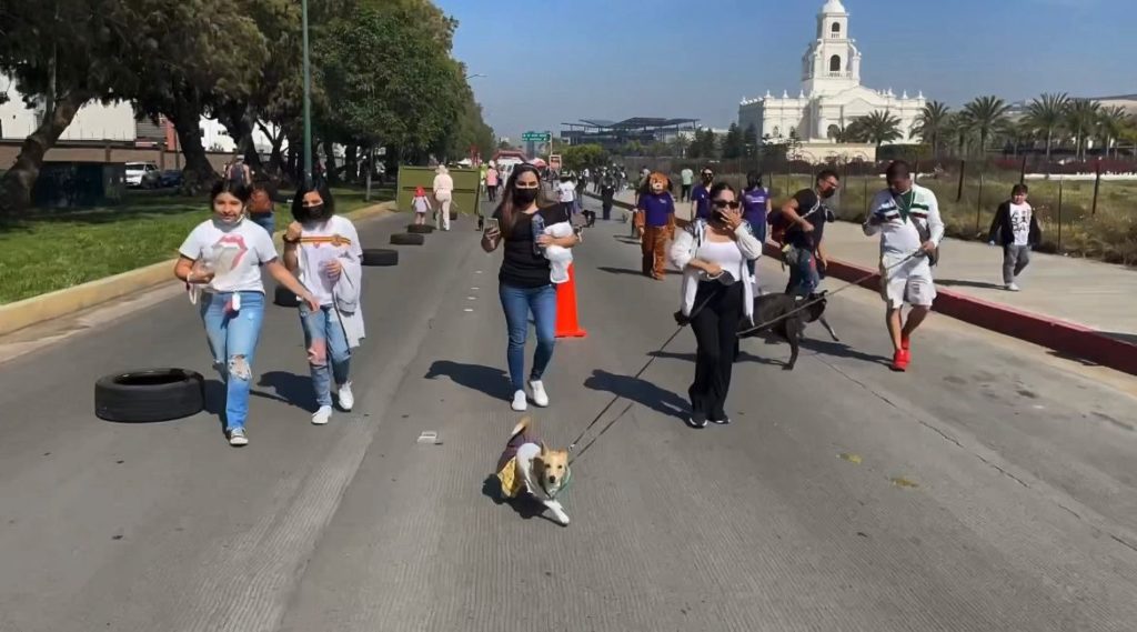 ORGANIZARÁ AYUNTAMIENTO CROQUETÓN PARA ANIMALES EN SITUACIÓN DE CALLE. lasnoticias.info