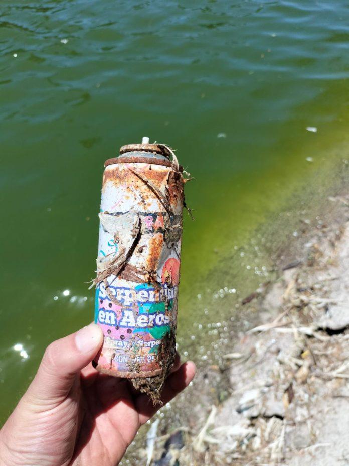 AYUNTAMIENTO DE TIJUANA EXHORTA A LA COMUNIDAD A CUIDAR EL LAGO DEL PARQUE MORELOS. lasnoticias.info