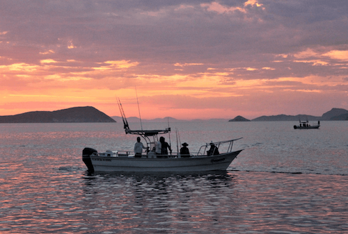 ARRANCA SEGUNDA ETAPA DEL CAMPEONATO INTERNACIONAL DE PESCA DEPORTIVA “COPA BAJA CALIFORNIA” EN BAHÍA DE LOS ÁNGELES. lasnoticias.info