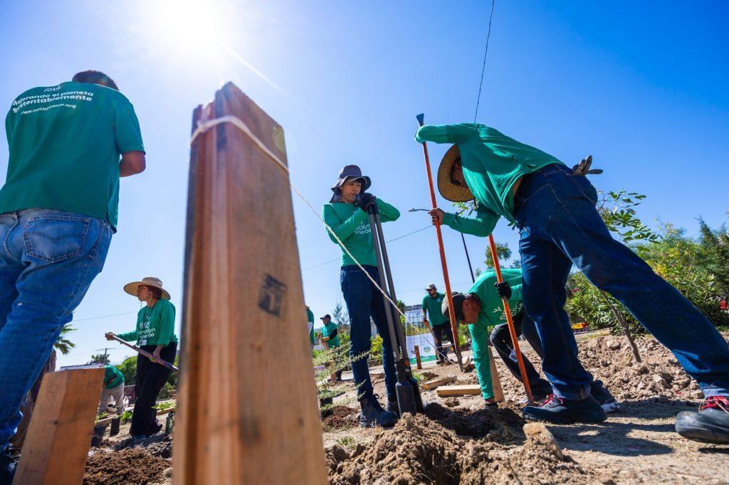 LOGRA AYUNTAMIENTO DE TIJUANA PLANTAR 100 MIL ÁRBOLES CON “SEMBRANDO VIDA”, PROYECTO EJE DE MONTSERRAT CABALLERO. lasnoticias.info