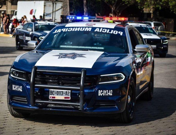 POLICÍA MUNICIPAL DE TIJUANA RECUPERÓ 219 VEHÍCULOS EN JULIO. lasnoticias.info
