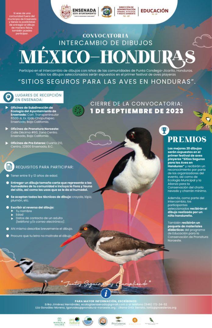 INVITA GOBIERNO DE ENSENADA AL INTERCAMBIO DE DIBUJOS “MÉXICO-HONDURAS”. lasnoticias.info