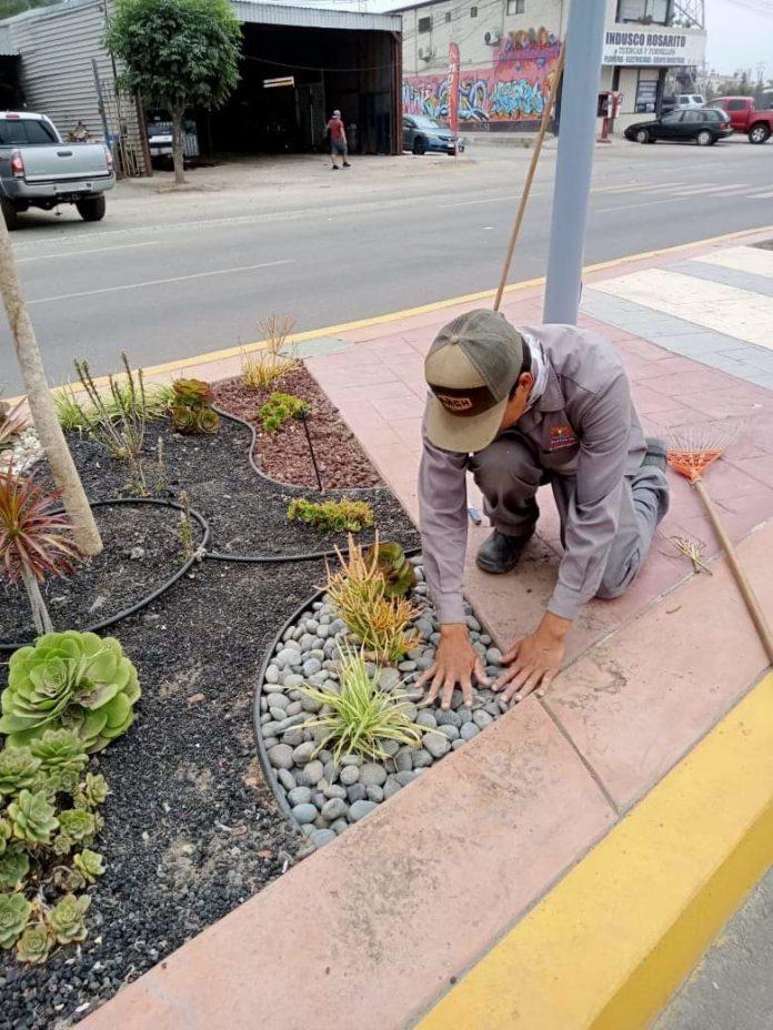 Fortalece Gobierno Municipal labores de limpieza en vialidades de la Zona Centro. lasnoticias.info