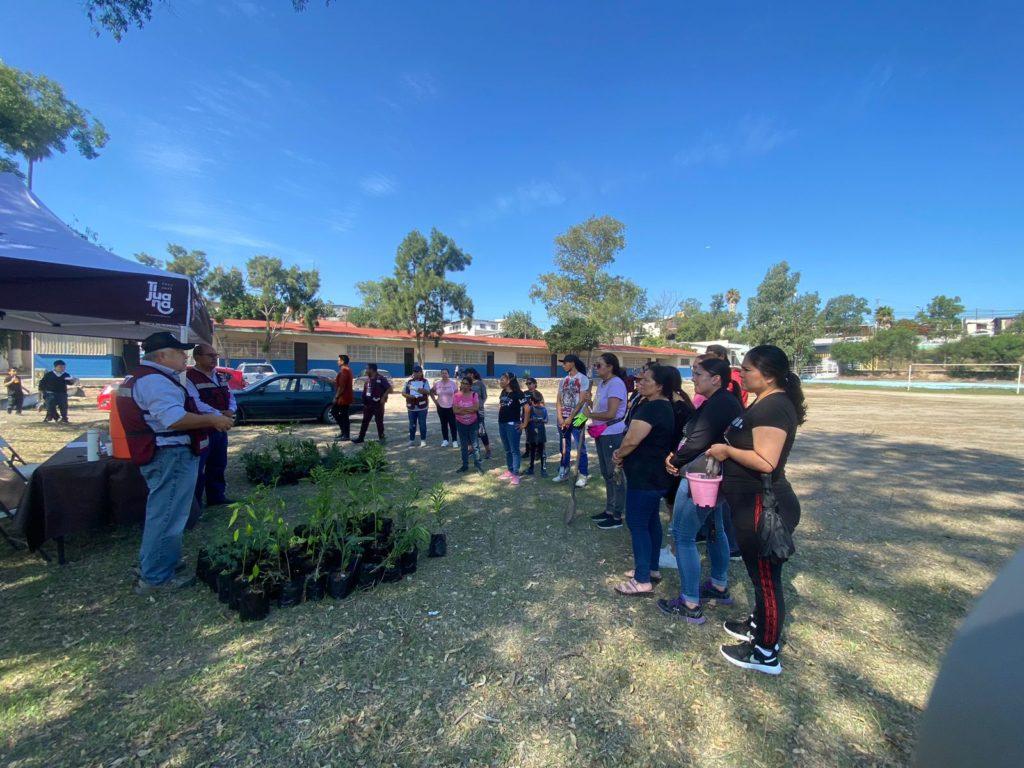 A TRAVÉS DE SEMBRANDO VIDA AYUNTAMIENTO CONTINÚA FORESTANDO TIJUANA. lasnoticias.info