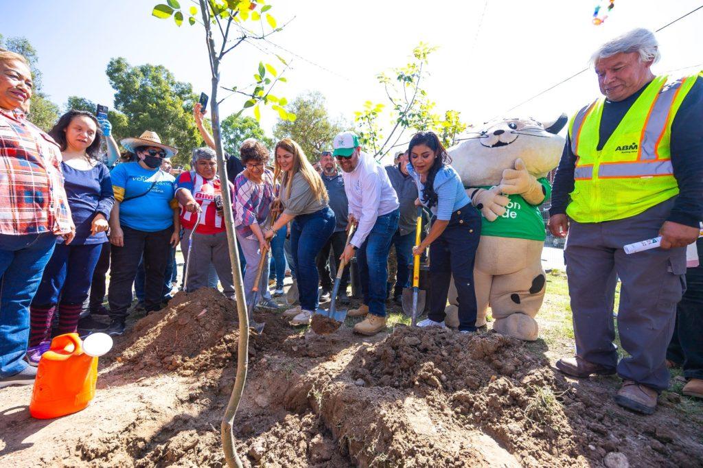 AYUNTAMIENTO DE TIJUANA INCREMENTA HASTA EN UN 15% SUS ÁREAS VERDES. lasnoticias.info