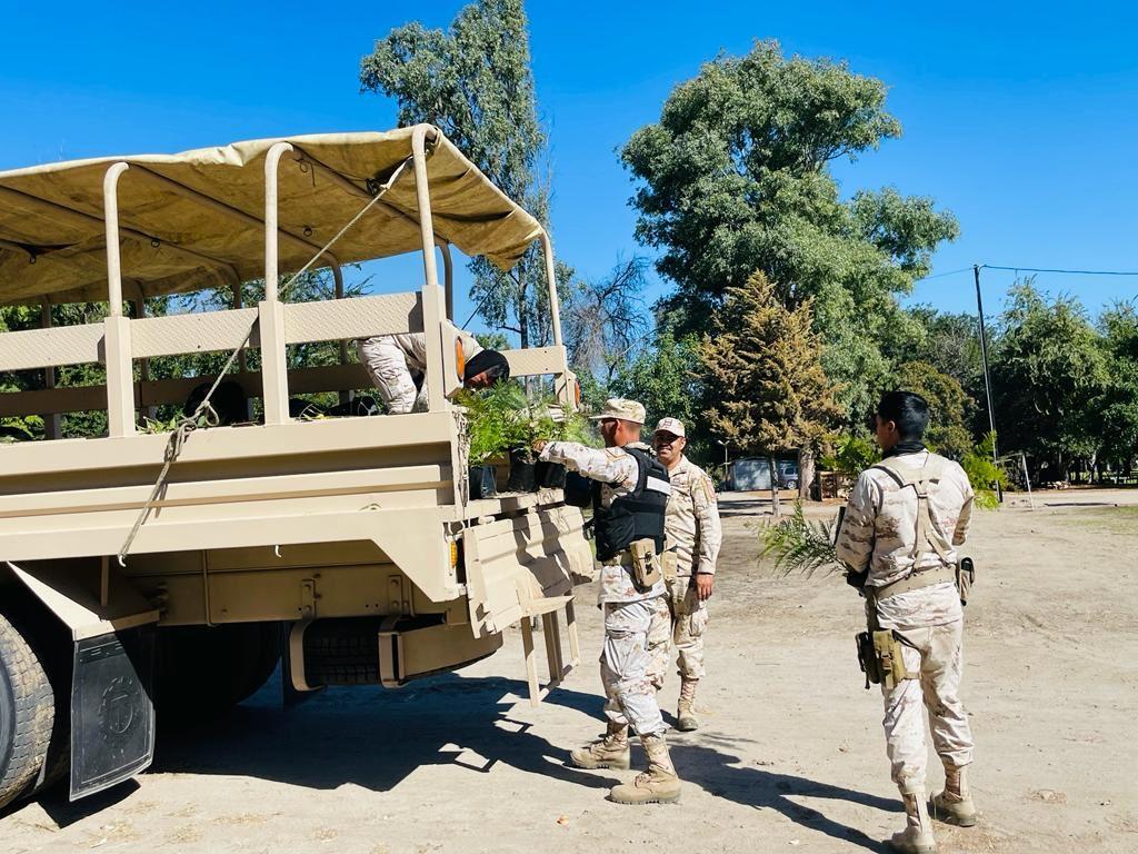 SIMPATT IMPULSA LA REFORESTACIÓN DE TIJUANA. lasnoticias.info