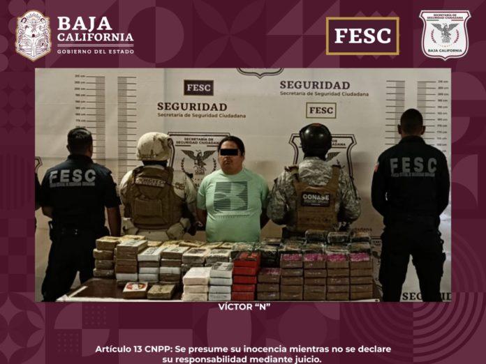 ASEGURAN FUERZA ESTATAL, CONASE Y SEDENA MÁS DE 100 KG DE FENTANILO Y MÁS DE 30 KG DE COCAÍNA. lasnoticias.info