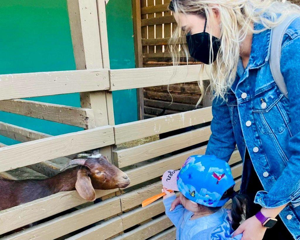 MÁS DE 107 MIL PERSONAS VISITARON LOS PARQUES MORELOS Y DE LA AMISTAD EN NOVIEMBRE. lasnoticias.info