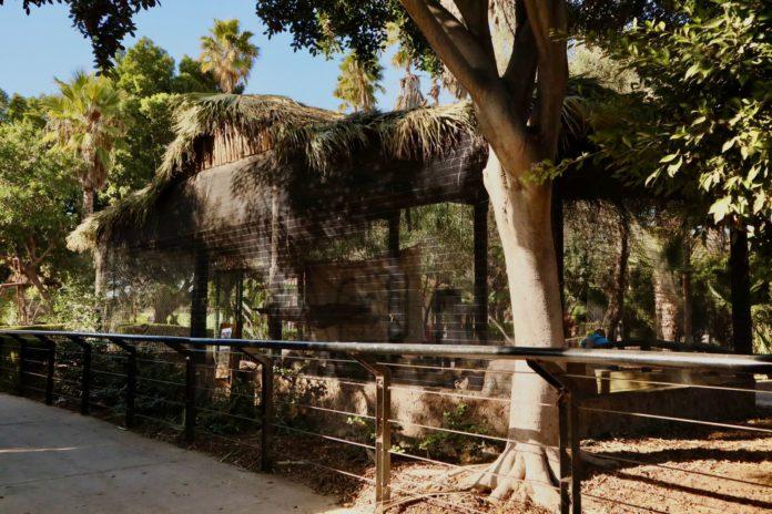 SIMPATT REHABILITÓ HÁBITAT DE PUERCOESPINES EN EL PARQUE MORELOS. lasnoticias.info
