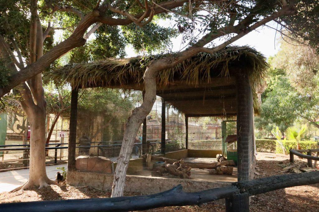 SIMPATT REHABILITÓ HÁBITAT DE PUERCOESPINES EN EL PARQUE MORELOS. lasnoticias.info