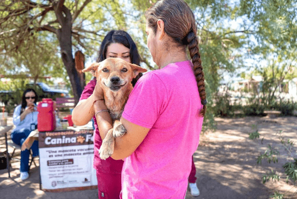 INVITA JURISDICCIÓN DE SALUD MEXICALI A LA JORNADA DE VACUNACIÓN ANTIRRÁBICA EN PARQUE PÚBLICO DE CIUDAD MORELOS. lasnoticias.info