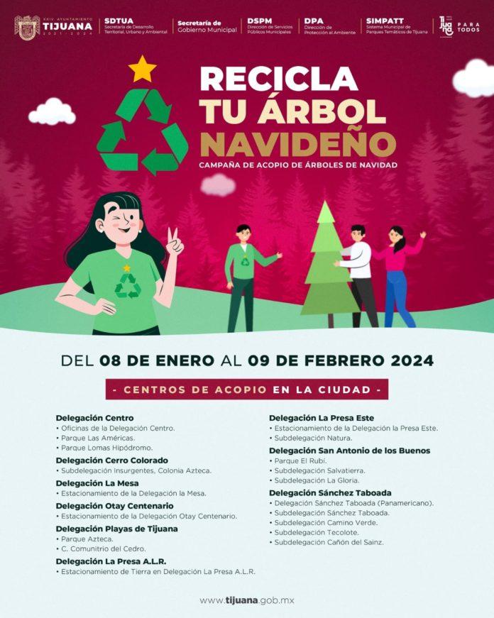 AYUNTAMIENTO DE TIJUANA HABILITA 19 CENTROS DE ACOPIO PARA RECIBIR ÁRBOLES NAVIDEÑOS. lasnoticias.info