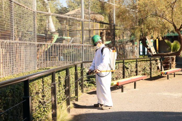 AYUNTAMIENTO FUMIGARÁ HÁBITATS DE ANIMALES EN PARQUE MORELOS. lasnoticias.info