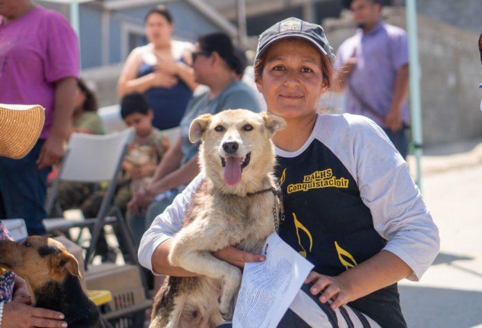 DEBEN CONTINUAR MEDIDAS PREVENTIVAS CONTRA LA RICKETTSIA DURANTE LA TEMPORADA DE FRÍO: JSST. lasnoticias.info