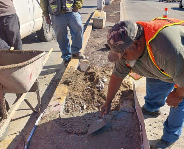 REHABILITA GOBIERNO DE ENSENADA CAMELLONES CENTRALES. lasnoticias.info