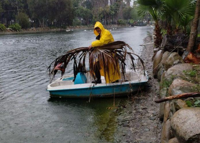 SIN AFECTACIONES EN PARQUES MORELOS Y DE LA AMISTAD POR DÍAS LLUVIOSOS. lasnoticias.info