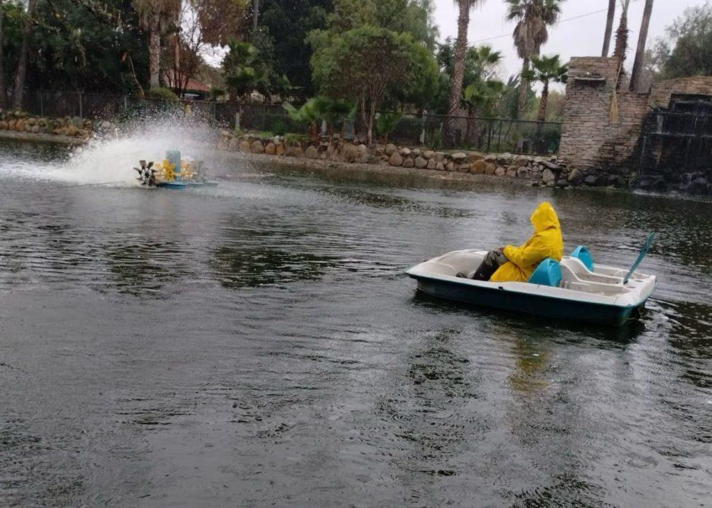 SIN AFECTACIONES EN PARQUES MORELOS Y DE LA AMISTAD POR DÍAS LLUVIOSOS. lasnoticias.info