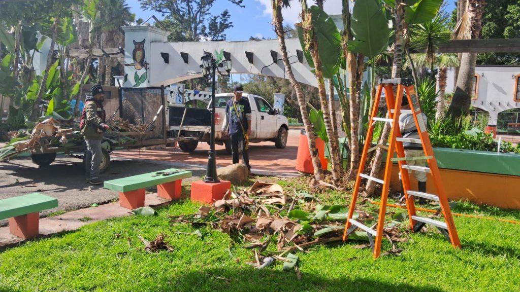 SIN AFECTACIONES EN PARQUES MORELOS Y DE LA AMISTAD POR DÍAS LLUVIOSOS. lasnoticias.info