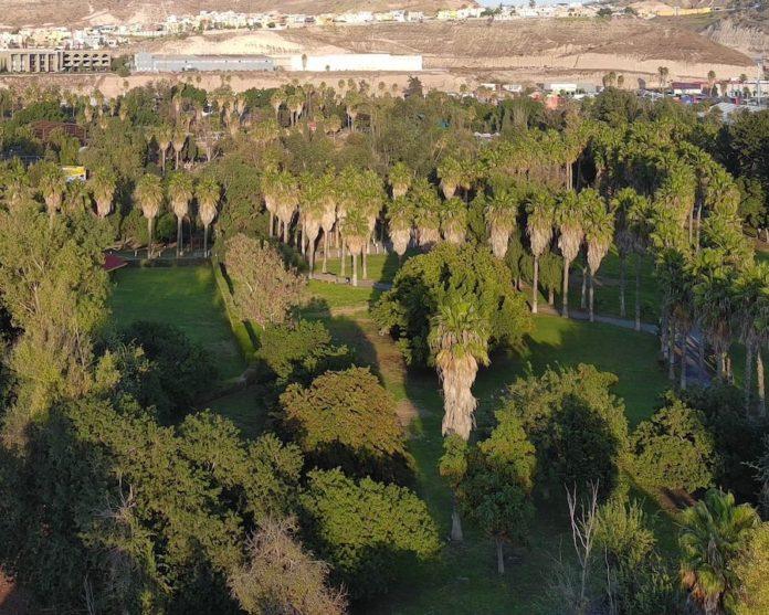ABRIRÁN PARQUES ADMINISTRADOS POR EL SIMPATT EL DÍA DEL AMOR Y LA AMISTAD. lasnoticias.info