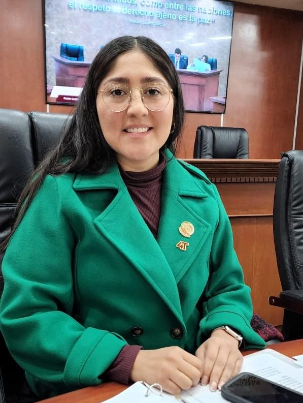 EXHORTA CONGRESO AL INSTITUTO DE MOVILIDAD PARA AMPLIAR LA RUTA VIOLETA A LA ZONA PONIENTE DE MEXICALI. lasnoticias.info