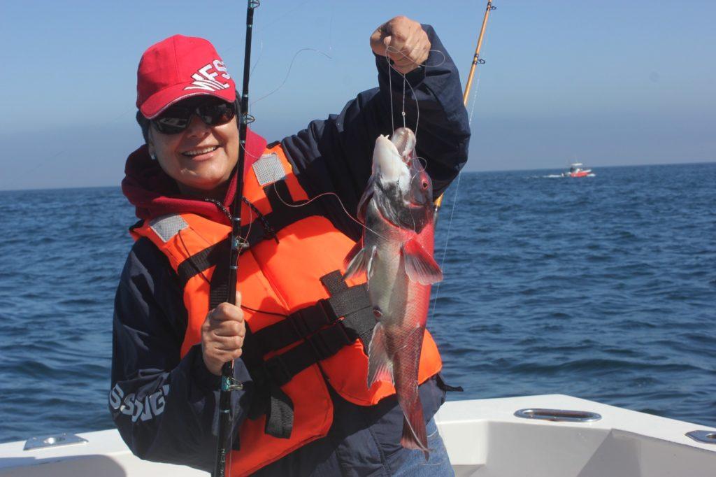 DISTRIBUYE SEPESCA BC TARJETAS INFORMATIVAS DE PESCA DEPORTIVA. lasnoticias.info