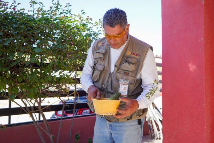 SE UNE E INTENSIFICA SECRETARÍA DE SALUD A LA 1ª JORNADA NACIONAL DE LA LUCHA CONTRA EL DENGUE. lasnoticias.info