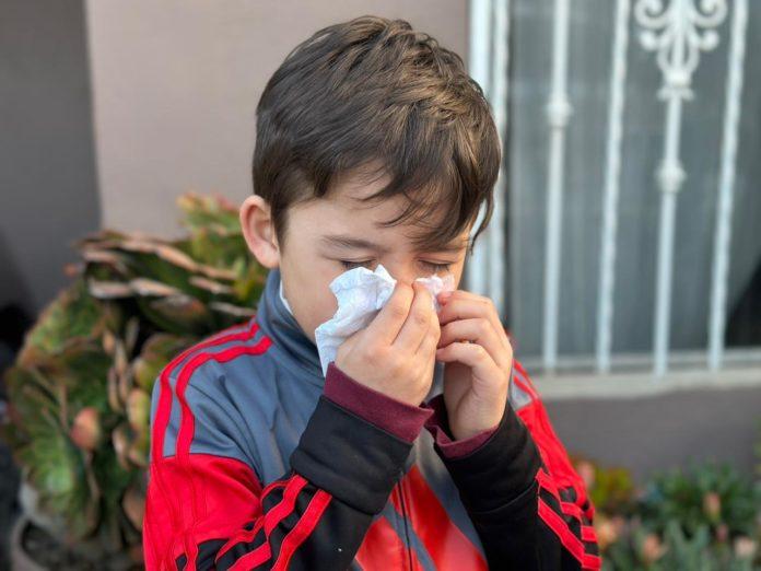 RECONOCE SECRETARÍA DE SALUD LA IMPORTANCIA DE LAS ENFERMEDADES ALERGICAS EN NIÑAS, NIÑOS Y ADOLESCENTES. lasnoticias.info RECONOCE SECRETARÍA DE SALUD LA IMPORTANCIA DE LAS ENFERMEDADES ALERGICAS EN NIÑAS, NIÑOS Y ADOLESCENTES. lasnoticias.info