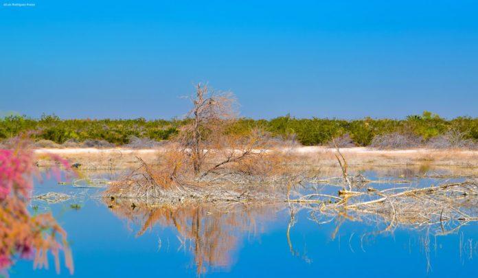 INVITA CESPM A CONMEMORAR EL DÍA MUNDIAL DEL AGUA CON UN ENFOQUE EN EL USO RACIONAL DEL RECURSO. lasnoticias.info INVITA CESPM A CONMEMORAR EL DÍA MUNDIAL DEL AGUA CON UN ENFOQUE EN EL USO RACIONAL DEL RECURSO. lasnoticias.info