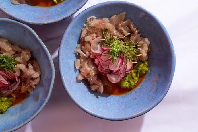 RECOMIENDA SEPESCA BC CONSUMIR PESCADOS Y MARISCOS DE BAJA CALIFORNIA. lasnoticias.info