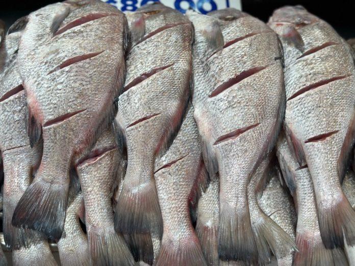 EMITE JSSE RECOMENDACIONES PARA EVITAR ENFERMEDADES POR MAL MANEJO DE ALIMENTOS. lasnoticias.info EMITE JSSE RECOMENDACIONES PARA EVITAR ENFERMEDADES POR MAL MANEJO DE ALIMENTOS. lasnoticias.info