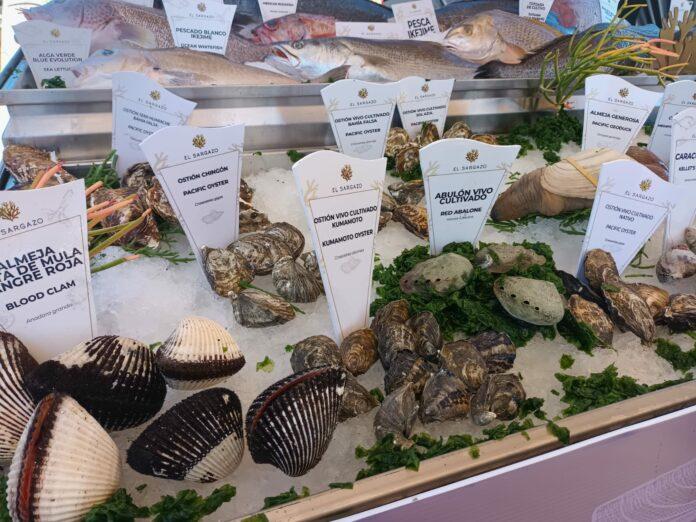 DISFRUTAN LOS PRODUCTOS PESQUEROS Y ACUÍCOLAS EN EL XXIV FESTIVAL DE LAS CONCHAS Y EL VINO NUEVO. lasnoticias.info