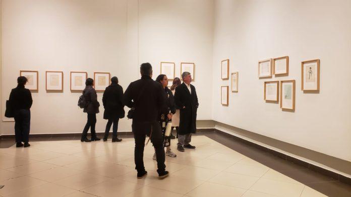 EXHIBE CEART TECATE LA EXPOSICIÓN “SEMENTERA. DIBUJOS ADOLESCENTES DE FRANCISCO TOLEDO”. lasnoticias.info