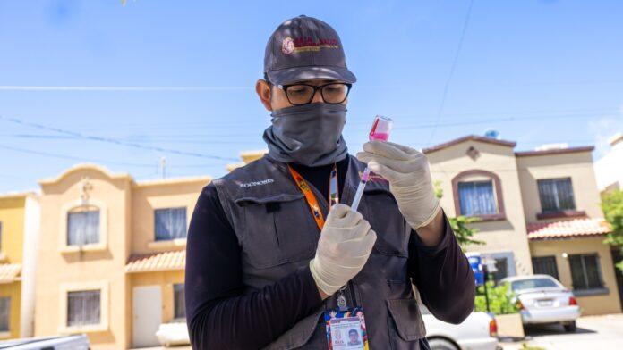 LLAMA SECRETARÍA DE SALUD A CUIDAR LA HIGIENE Y EL CONTROL VETERINARIO EN MASCOTAS. lasnoticias.info