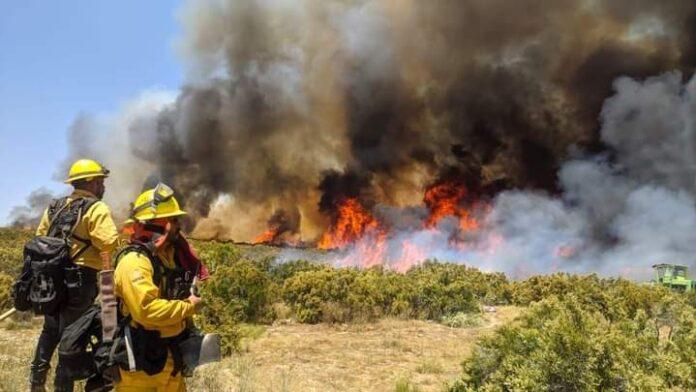 SE PREPARA SADERBC Y COMITÉ DEL MANEJO DE FUEGO ANTE TEMPORADA DE INCENDIOS FORESTALES. lasnoticias.info