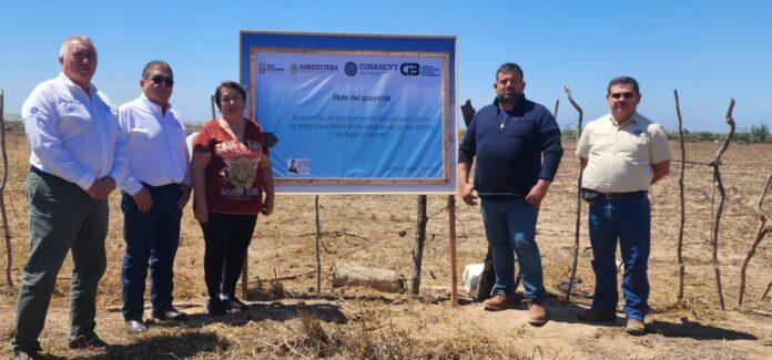 IMPULSA SADERBC TRABAJO DE EVALUACIÓN PARA VARIABLES FORRAJERAS EN ZONA COSTA. lasnoticias.info