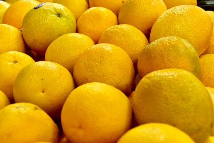 INVITA ISSSTECALI A SU DERECHOHABIENCIA A ALIMENTARSE SANAMENTE EN VERANO. lasnoticias.info INVITA ISSSTECALI A SU DERECHOHABIENCIA A ALIMENTARSE SANAMENTE EN VERANO. lasnoticias.info