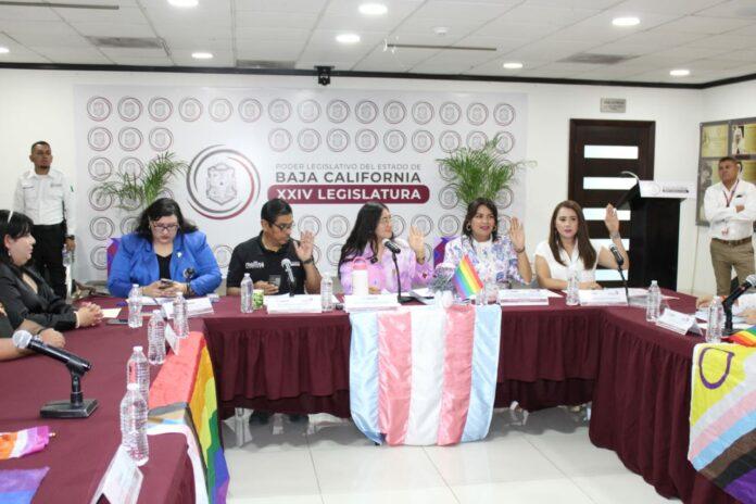 AVANZA EN COMISIÓN INICIATIVA PARA RECONOCER IDENTIDAD DE NIÑAS, NIÑOS Y ADOLESCENTES. lasnoticias.info