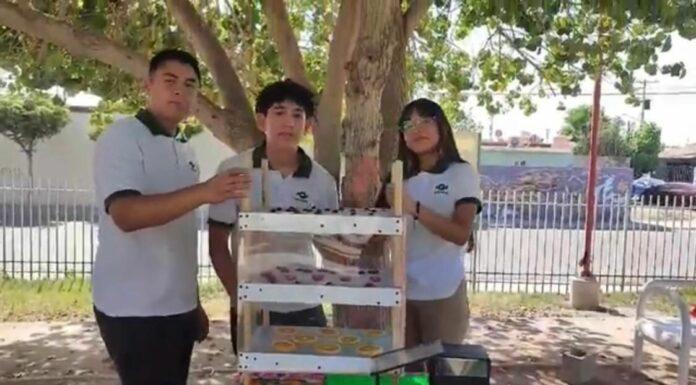 GANAN SEGUNDO LUGAR NACIONAL ESTUDIANTES DE CONALEP MEXICALI I EN PREMIO ZAYED A LA SOSTENIBILIDAD 2024. lasnoticias.info