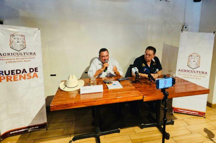 RESALTA SADERBC IMPORTANCIA DE LAS TENDENCIAS EN PRECIOS, ECONOMÍA MUNDIAL Y SITUACIÓN POLÍTICA EN LA AGROINDUSTRIA. lasnoticias.info