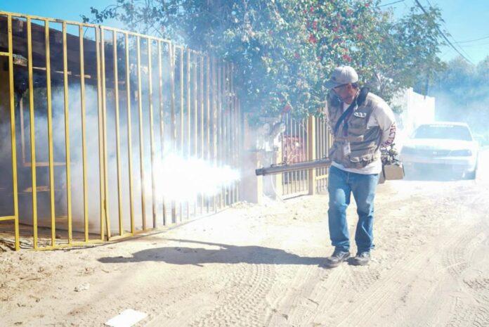 BAJA CALIFORNIA REFUERZA LA PREVENCIÓN EN 2DA JORNADA NACIONAL CONTRA EL DENGUE. lasnoticias.info