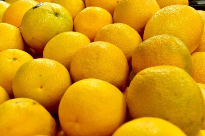 INVITA ISSSTECALI A CUIDAR LA SALUD ESTE INVIERNO CON UNA ALIMENTACIÓN SALUDABLE. lasnoticias.info