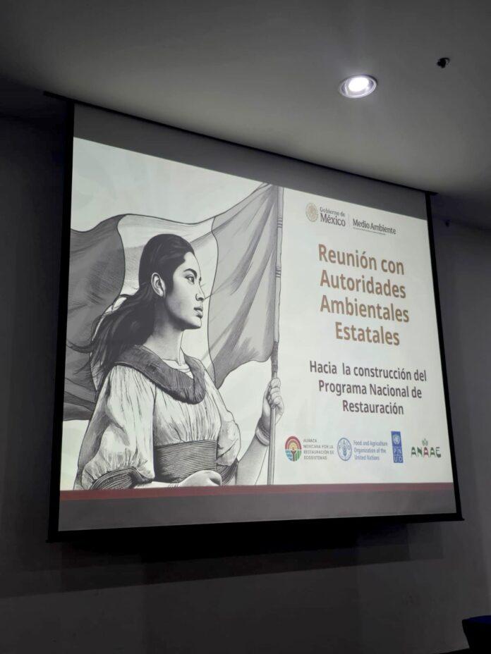 ASISTE MÓNICA VEGA A REUNIÓN CON TITULARES ESTATALES DE MEDIO AMBIENTE PARA CONSTRUIR EL PROGRAMA NACIONAL DE RESTAURACIÓN. lasnoticias.info