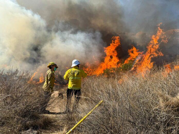 ATIENDE GOBIERNO DE BAJA CALIFORNIA INCENDIOS FORESTALES: ALFREDO ÁLVAREZ CÁRDENAS. lasnoticias.info