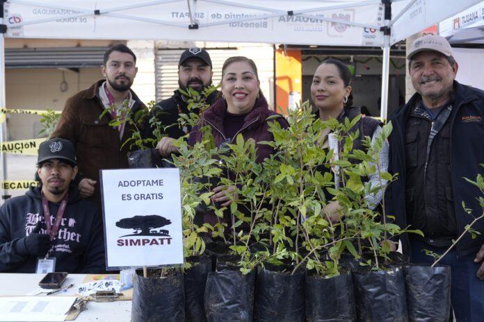 LLEVA XXV AYUNTAMIENTO DE TIJUANA JORNADA DE BIENESTAR A LA AVENIDA REVOLUCIÓN. lasnoticias.info