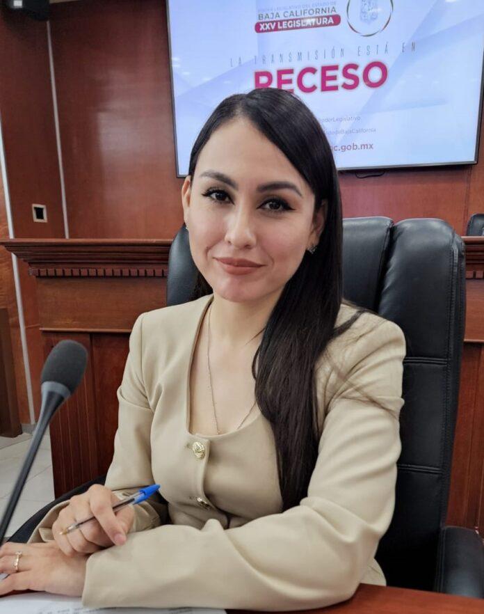 PROPONE DIPUTADA YOHANA GILVAJA ADELANTAR LA ELIMINACIÓN DE PLÁSTICOS DE UN SOLO USO PARA EL 2025. lasnoticias.info