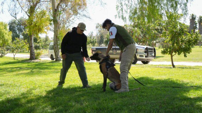 Colabora SSPCM con el Instituto Nacional de Migración para fortalecer capacitación en búsqueda y rescate.lasnoticias.info