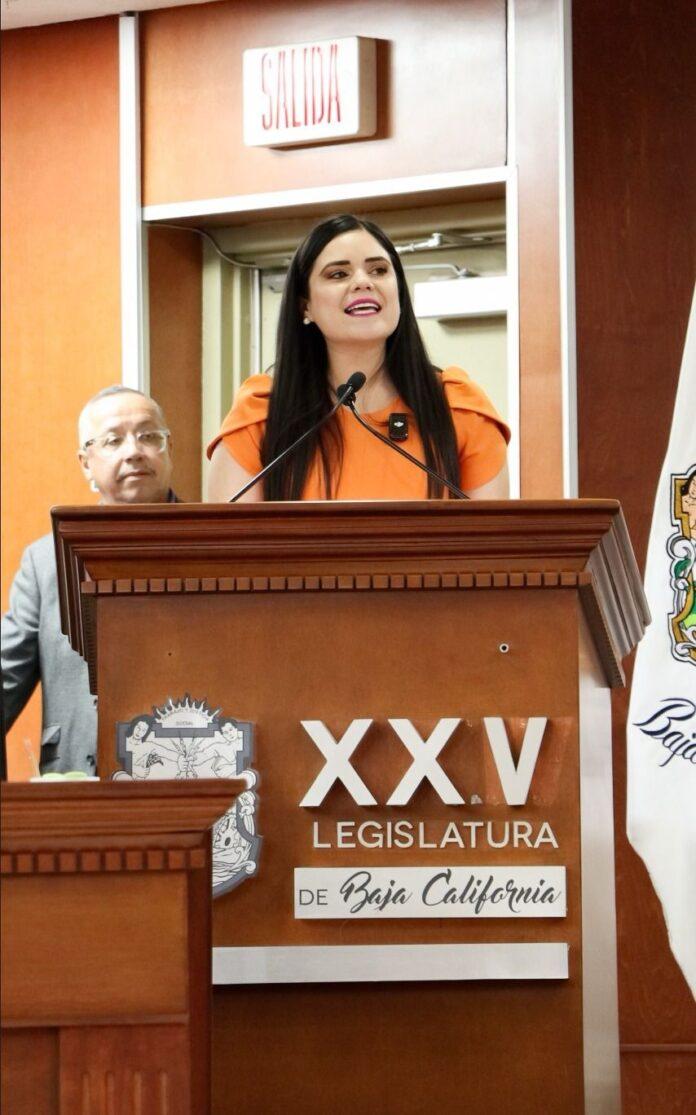 EXIGE DIPUTADA DAYLÍN GARCÍA PLAN CLARO DE SEGURIDAD Y RESULTADOS EFECTIVOS PARA BAJA CALIFORNIA.lasnoticias.info