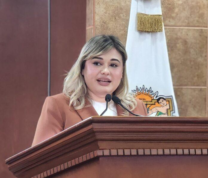 DIP. MICHELLE TEJEDA IMPULSA ATENCIÓN INCLUSIVA PARA PERSONAS CON DISCAPACIDAD EN LOS MÓDULOS CIUDADANOS DE LAS DIPUTACIONES.lasnoticias.info