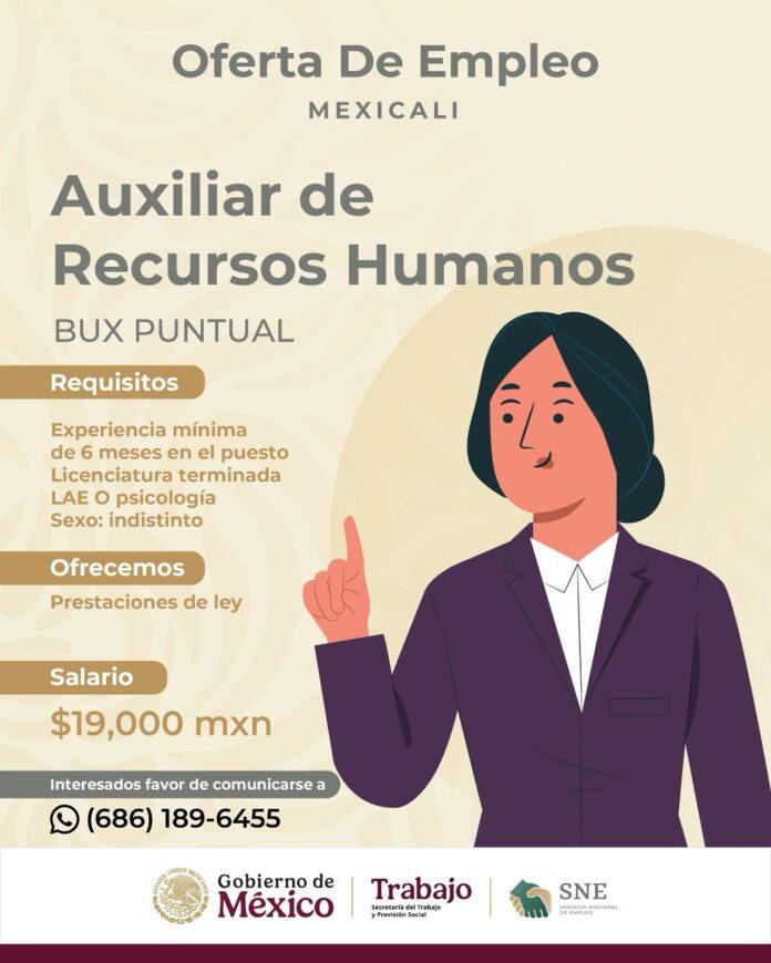ACTUALIZA STPS OFERTA DE VACANTES EN MEXICALI.lasnoticias.info